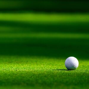 22nd Annual L.A.M. Foundation Golf Outing & Auction